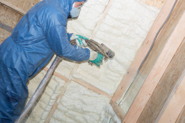 Best Insulation Removal  in Thurmont, MD